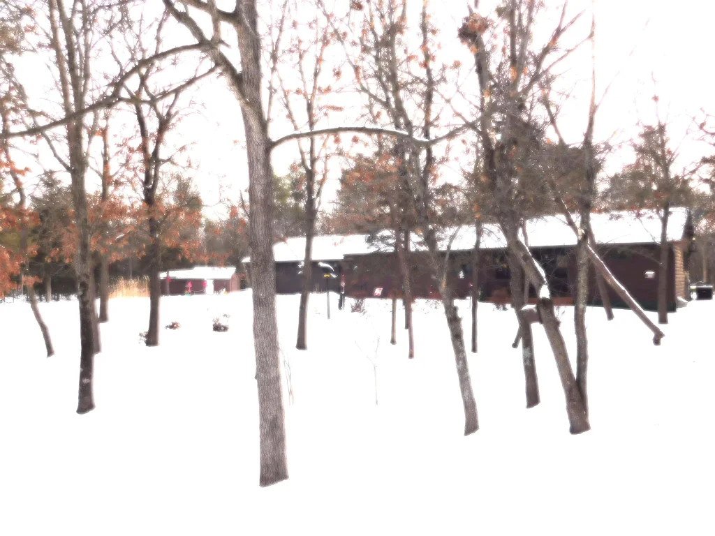 29747 Whispering Pines Road, Buena Vista