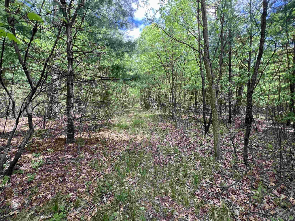 17.75 Acres County Road G, New Chester