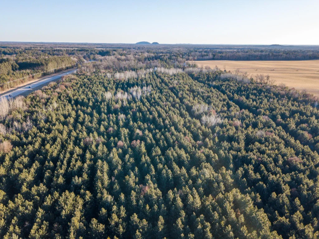 Lot 2 11th Drive, Preston