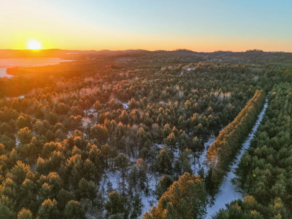 5148, Lot 1 County Highway S, Little Falls