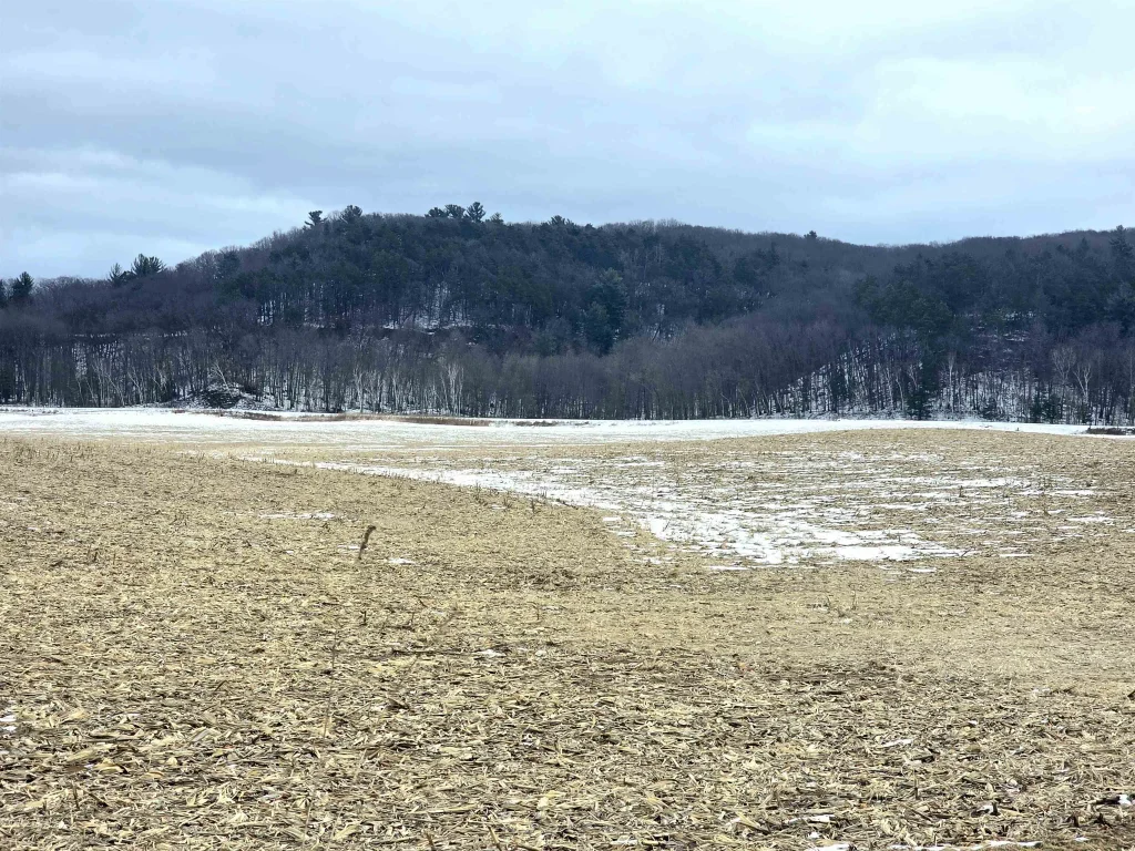 137 Acres Morrissey Road, Lemonweir