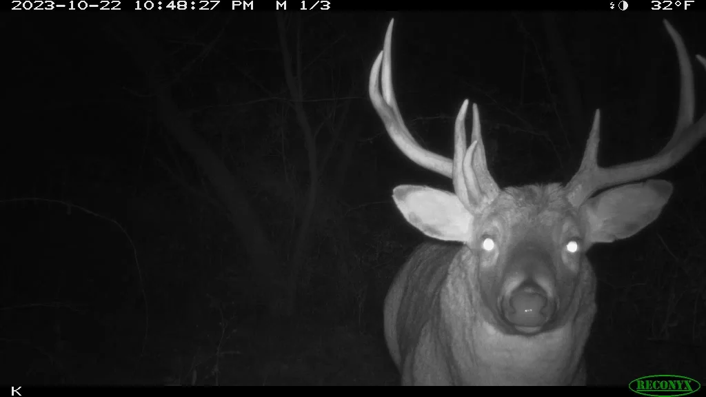 00 Wheat Hollow Road, Willow