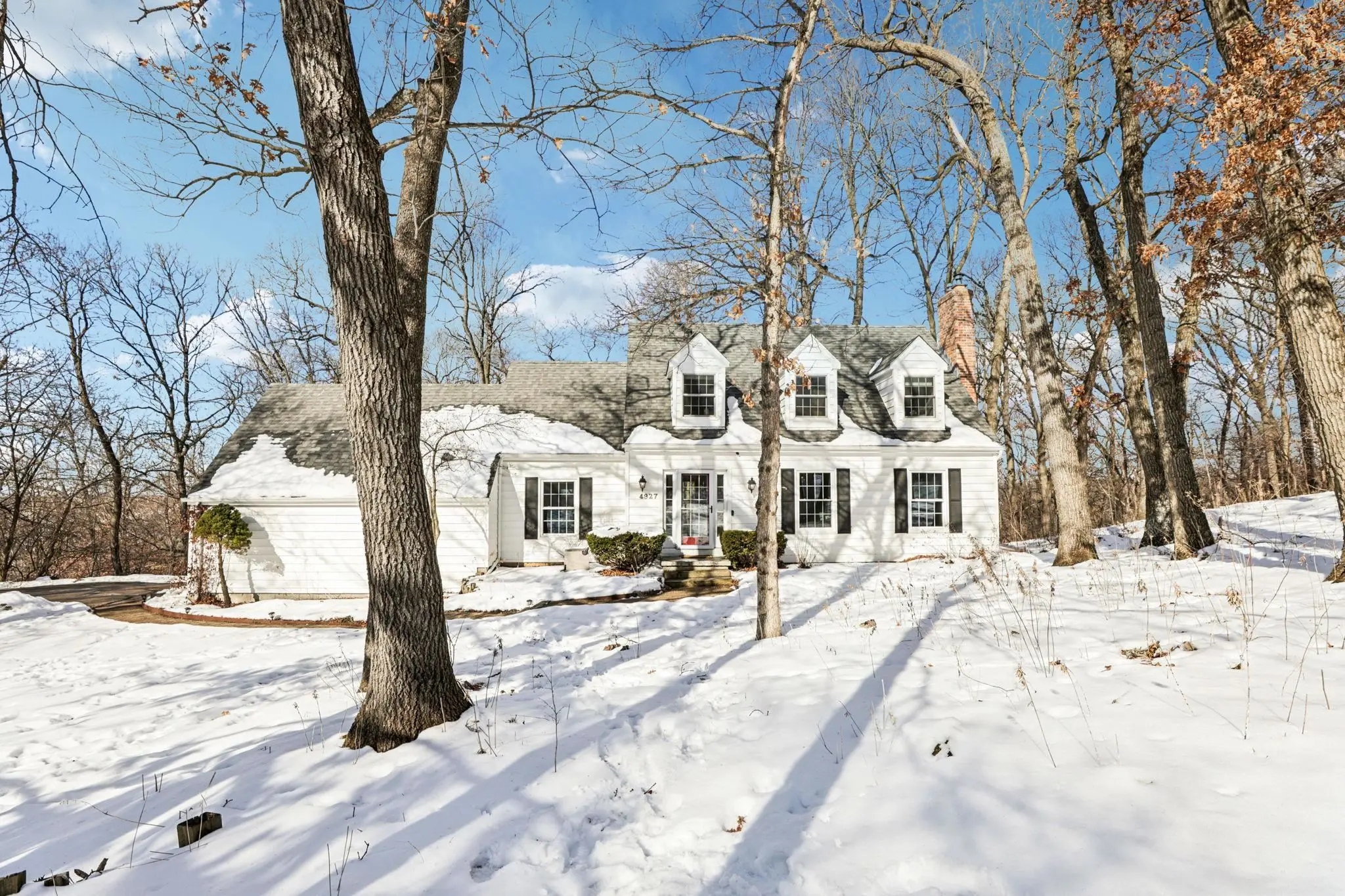 Photo of Listing #2017645