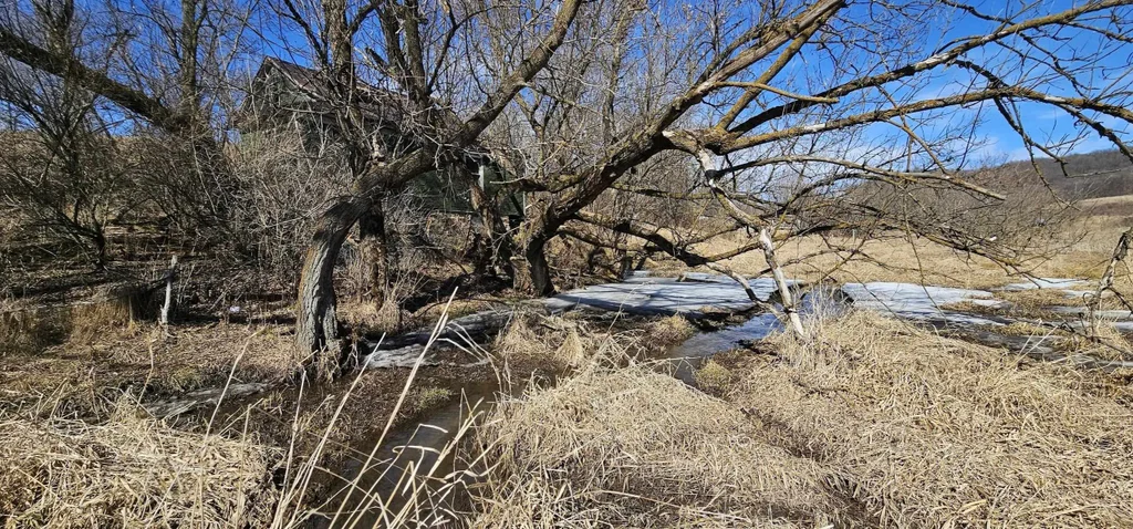 15815 Syresville Lane, Henrietta