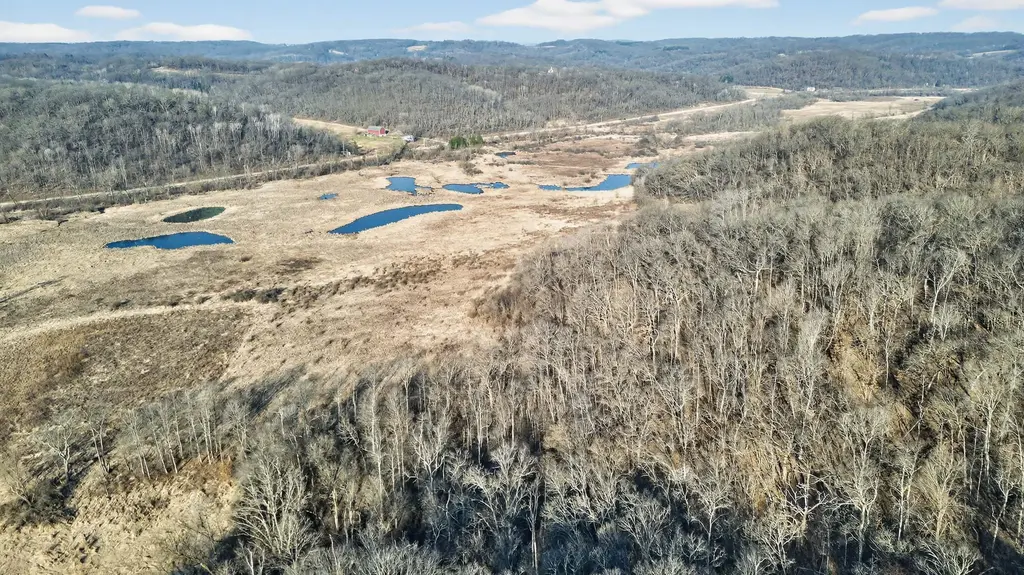 271.18 Acres Zwettler/foster Road, Arena