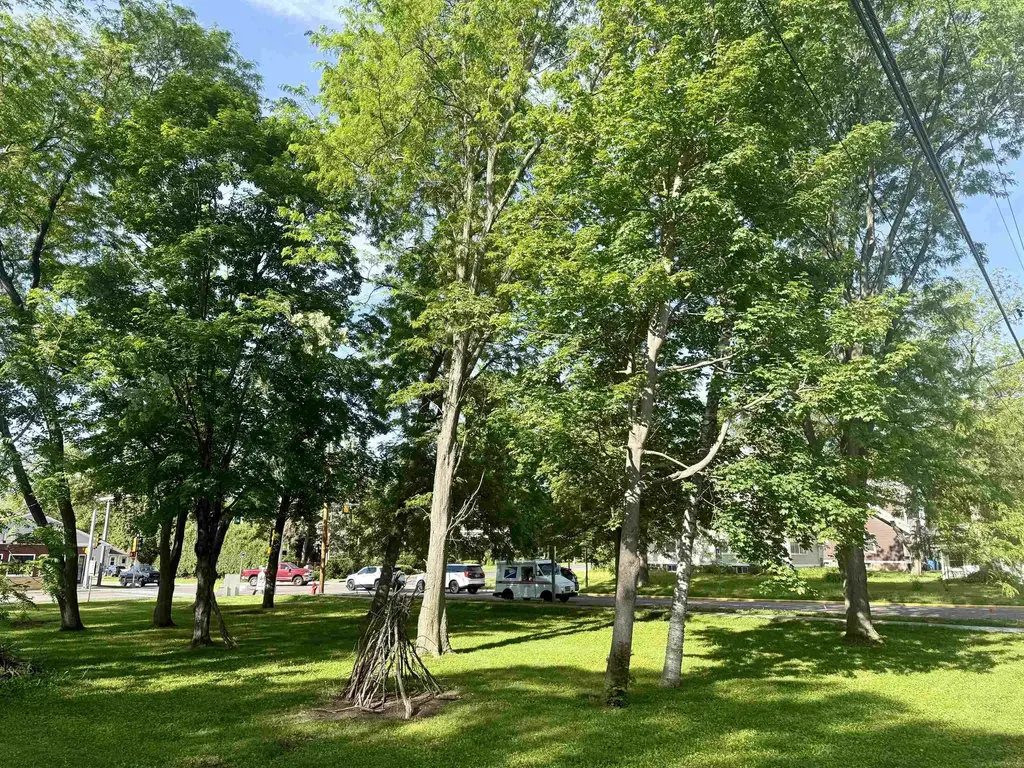 Lot 1 And 2 8th St, Baraboo