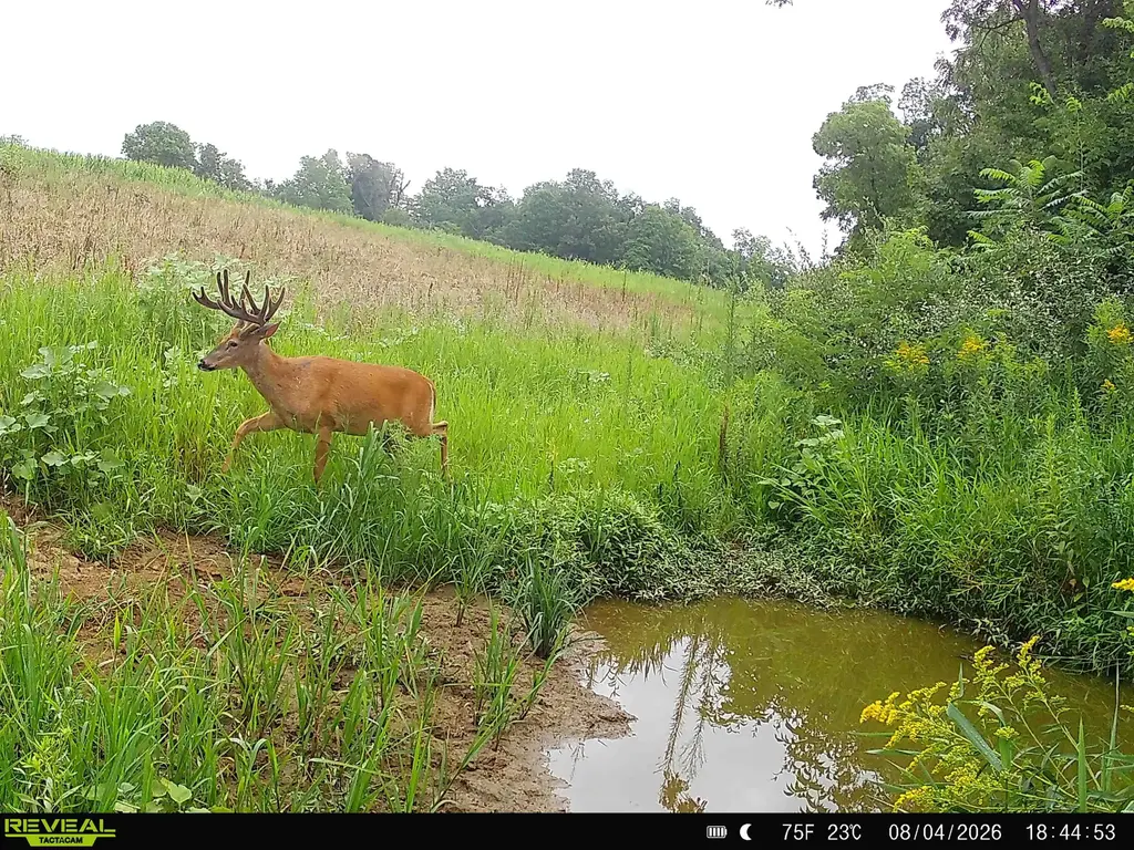 153+/- Acres Shimmering Lane, Eagle