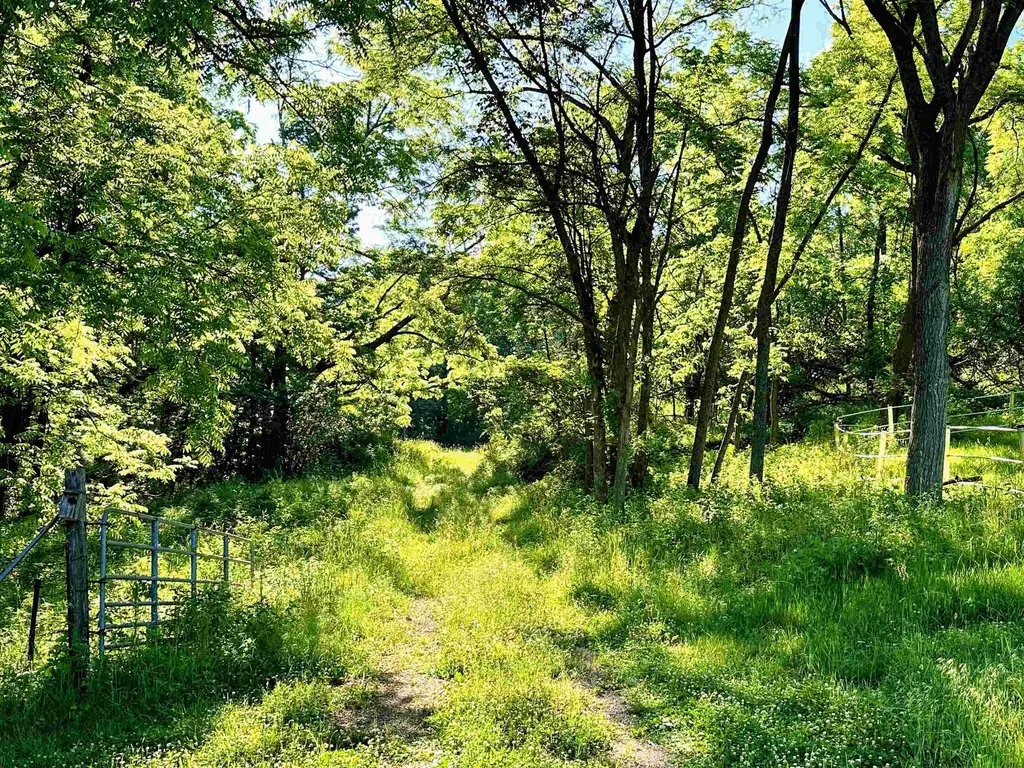 26 Acres +/- Tanglewood Drive, McGregor