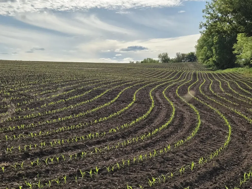 18.5 Ac County Road W Road, Benton