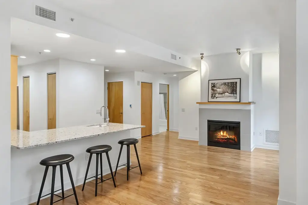 #102 - 309 W Washington Avenue, Madison