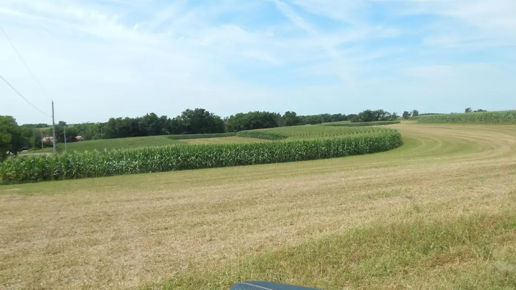 8.01 Acres Alfred Drive, Ridgeway
