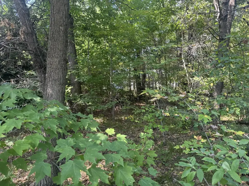 250 White Oak Lane, Lake Delton