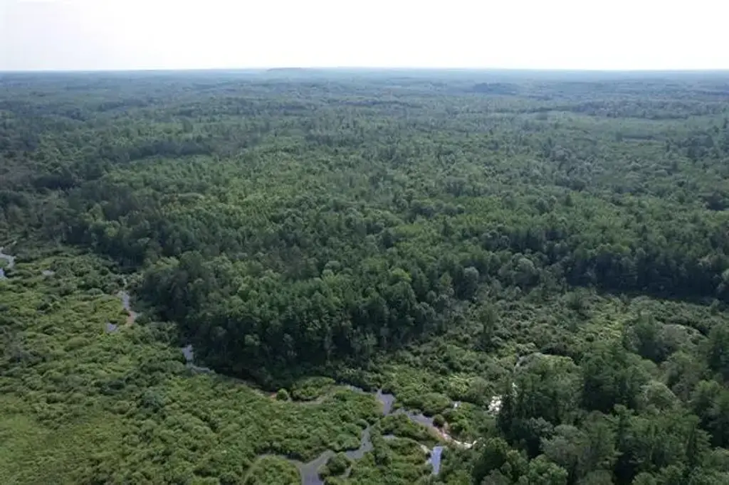 80 Acres Copper Mine Road, Gordon