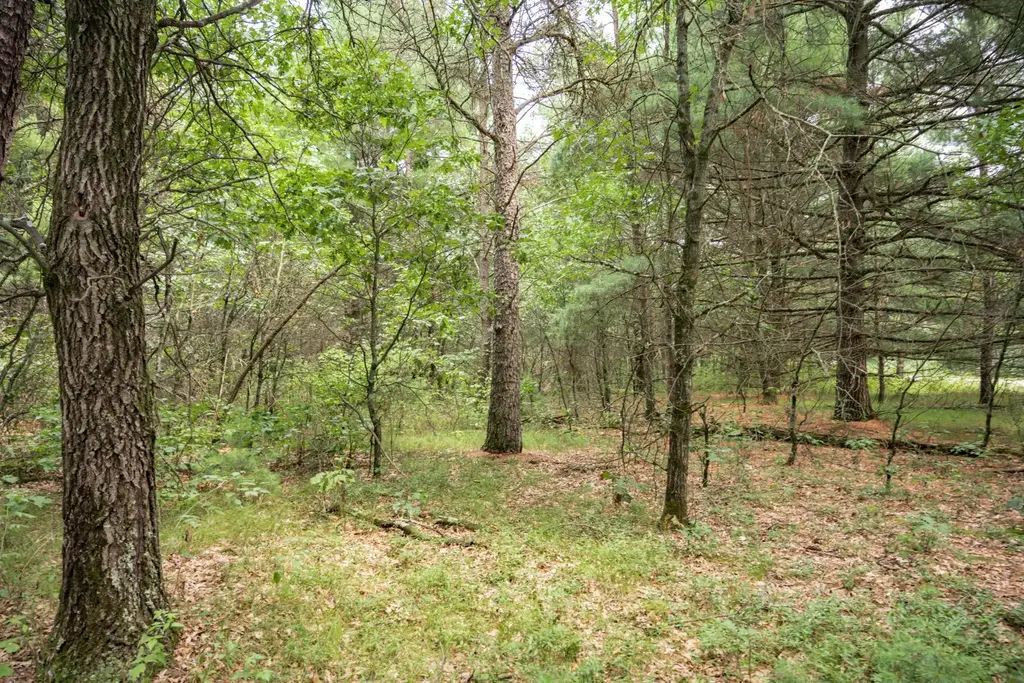 Lot 43 Morros Mile Road, Germantown