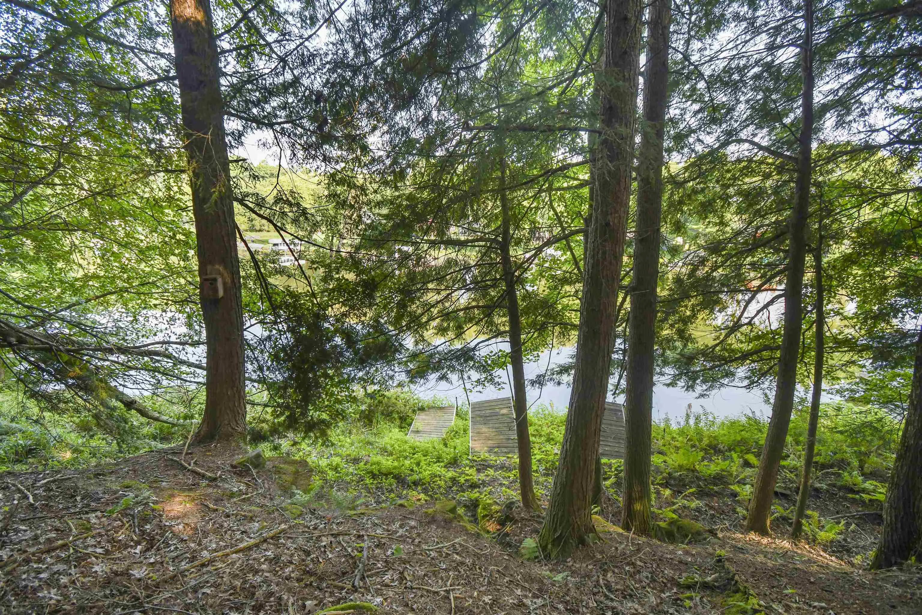 Photo of Listing #2031329