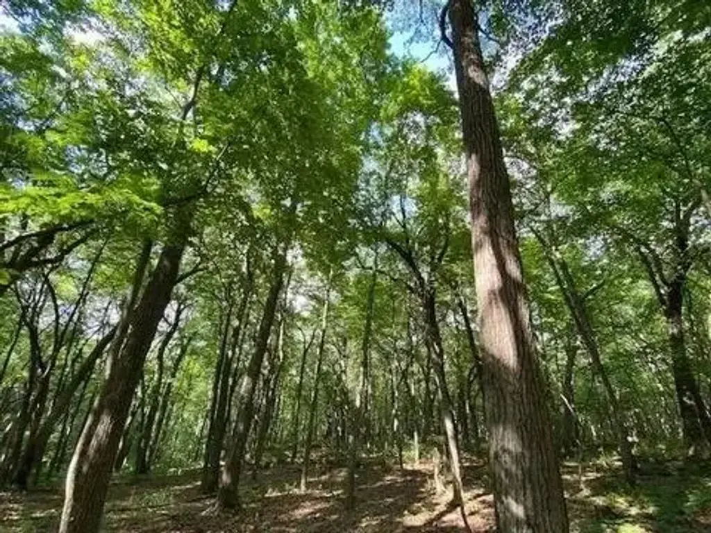 12 Wooded Acres Observatory Road, Cross Plains