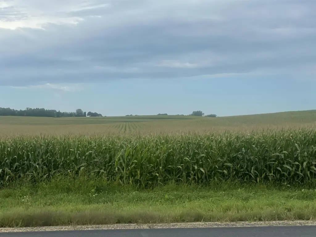 State Road 60, Arlington