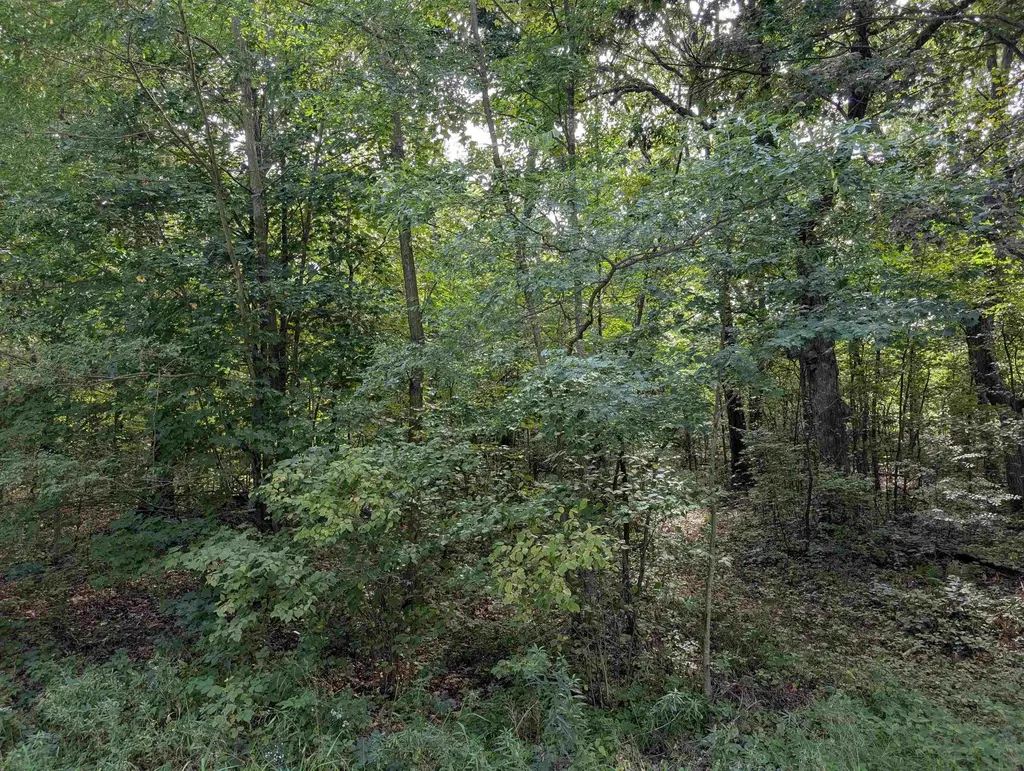 0 Raedel Lane, Dellona