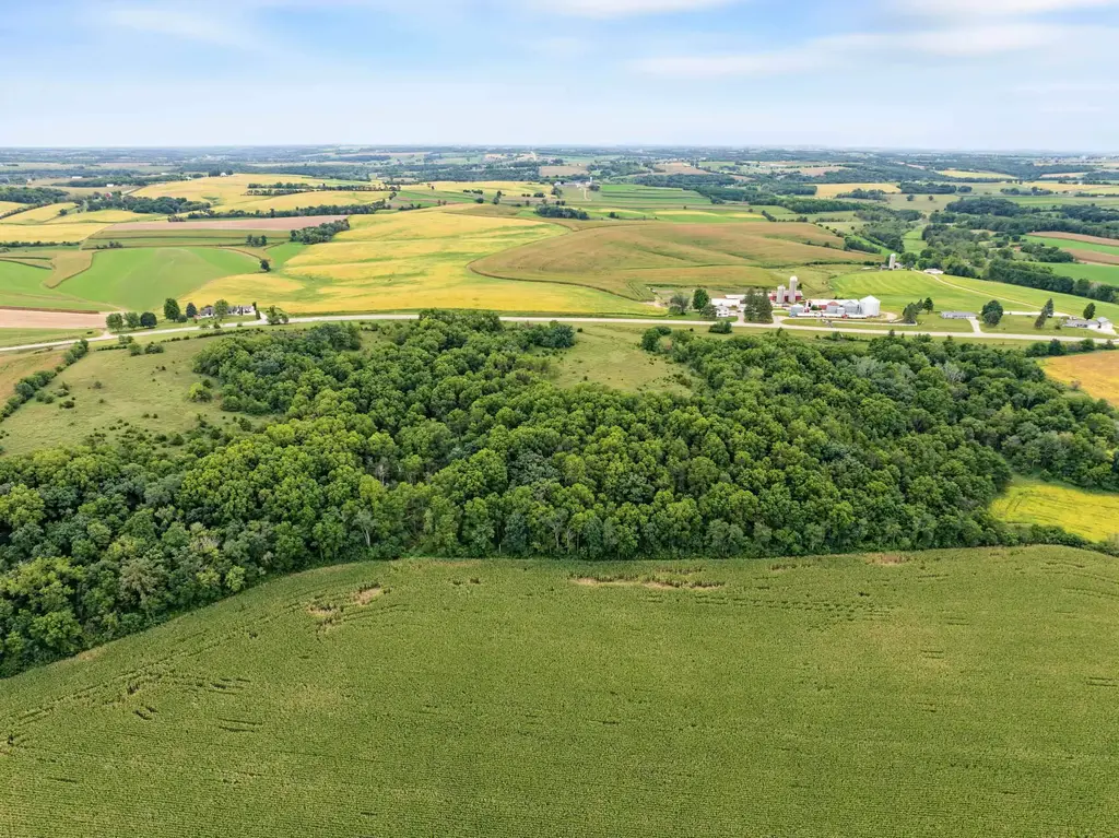 40 +/- Acres Highway 81, Argyle