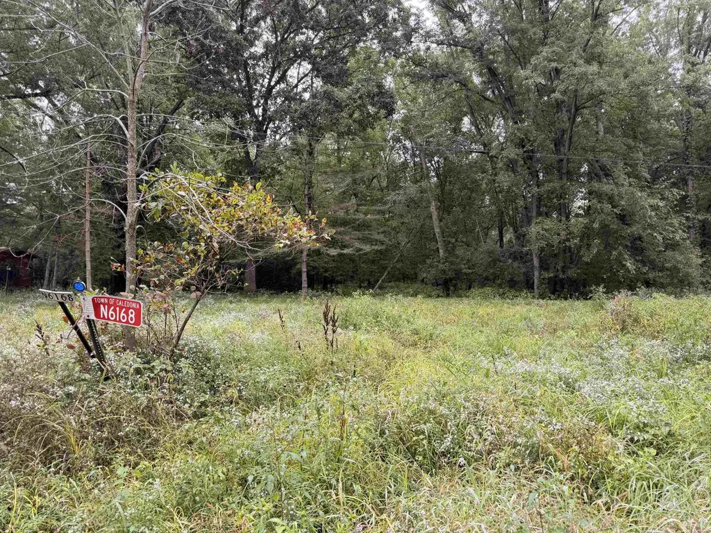 N6168 Blackhawk Road, Caledonia