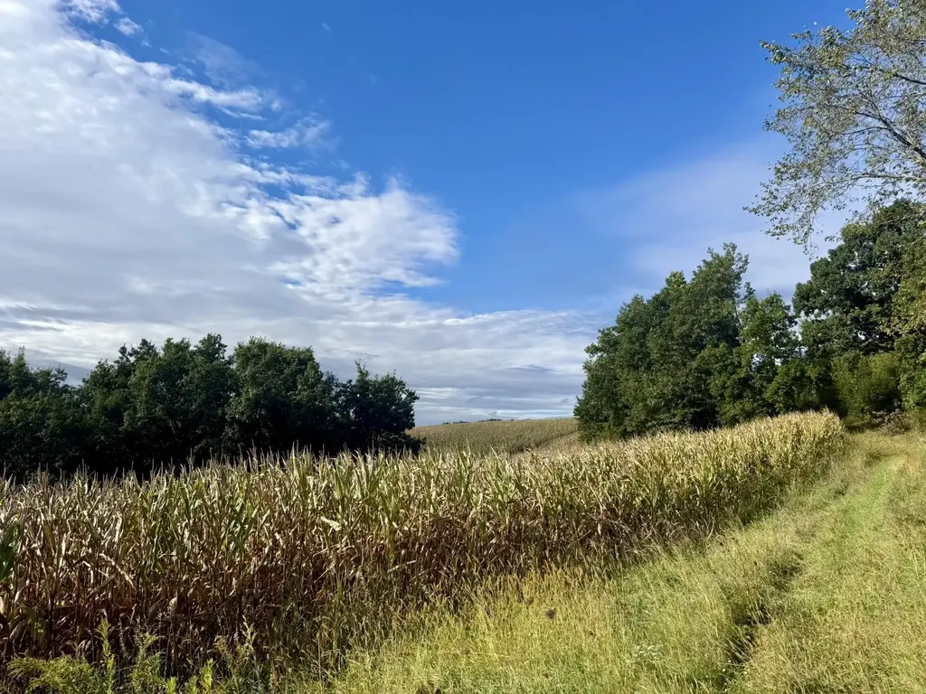 15 Acres Ozone Road, Glendale