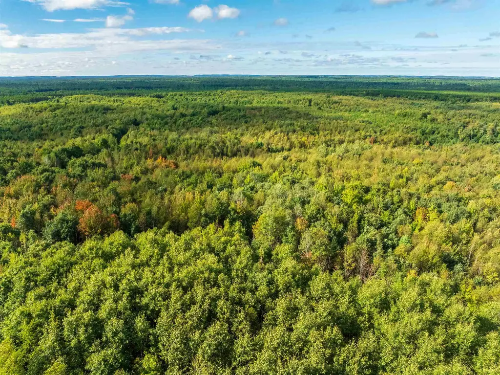 204.74 Ac Channey Rd Acres, Bridge Creek