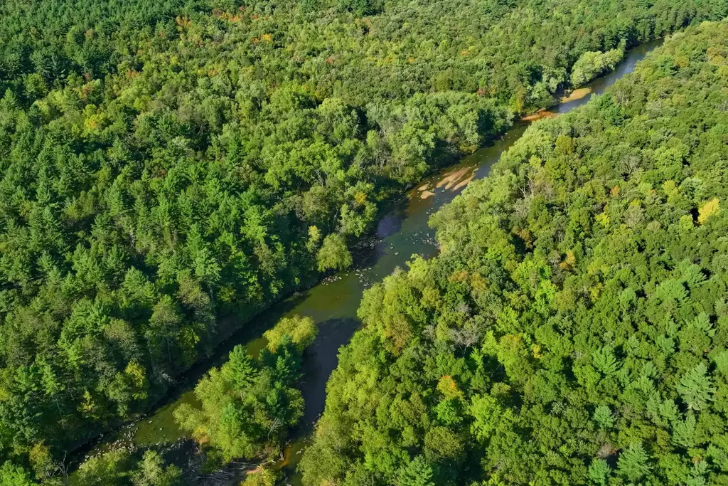 200ac Channey Rd Acres, Bridge Creek