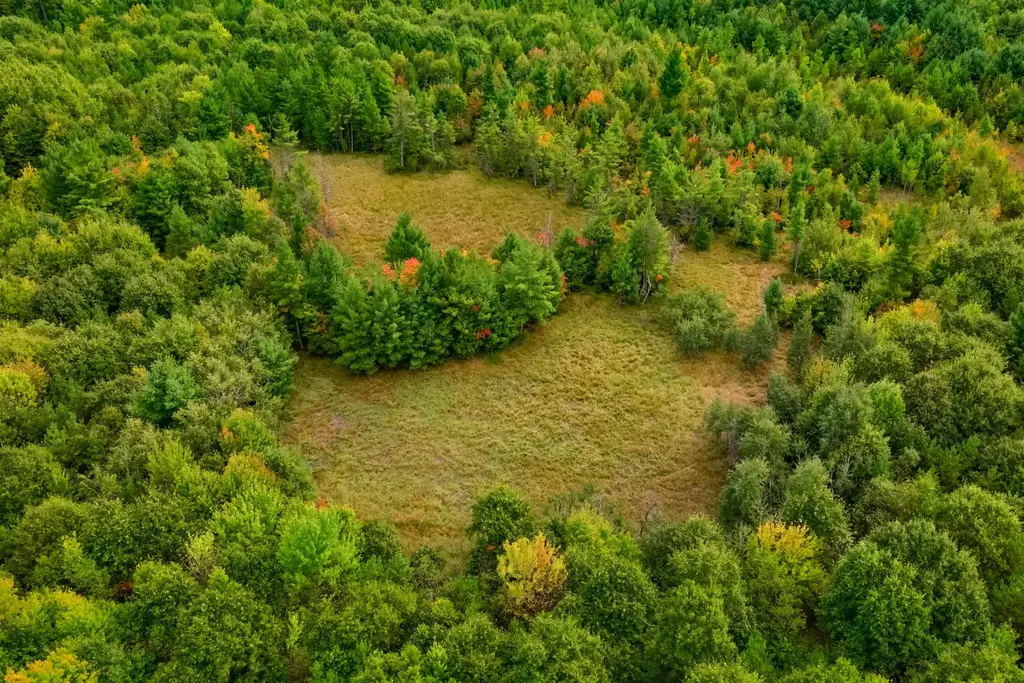 84+/- Ac Horse Creek Rd Acres, Bridge Creek