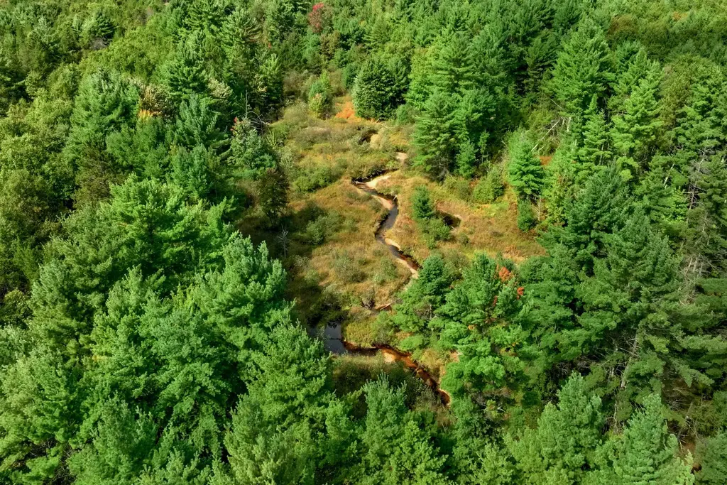 160+/- Ac Goat Ranch Rd Acres, Bridge Creek