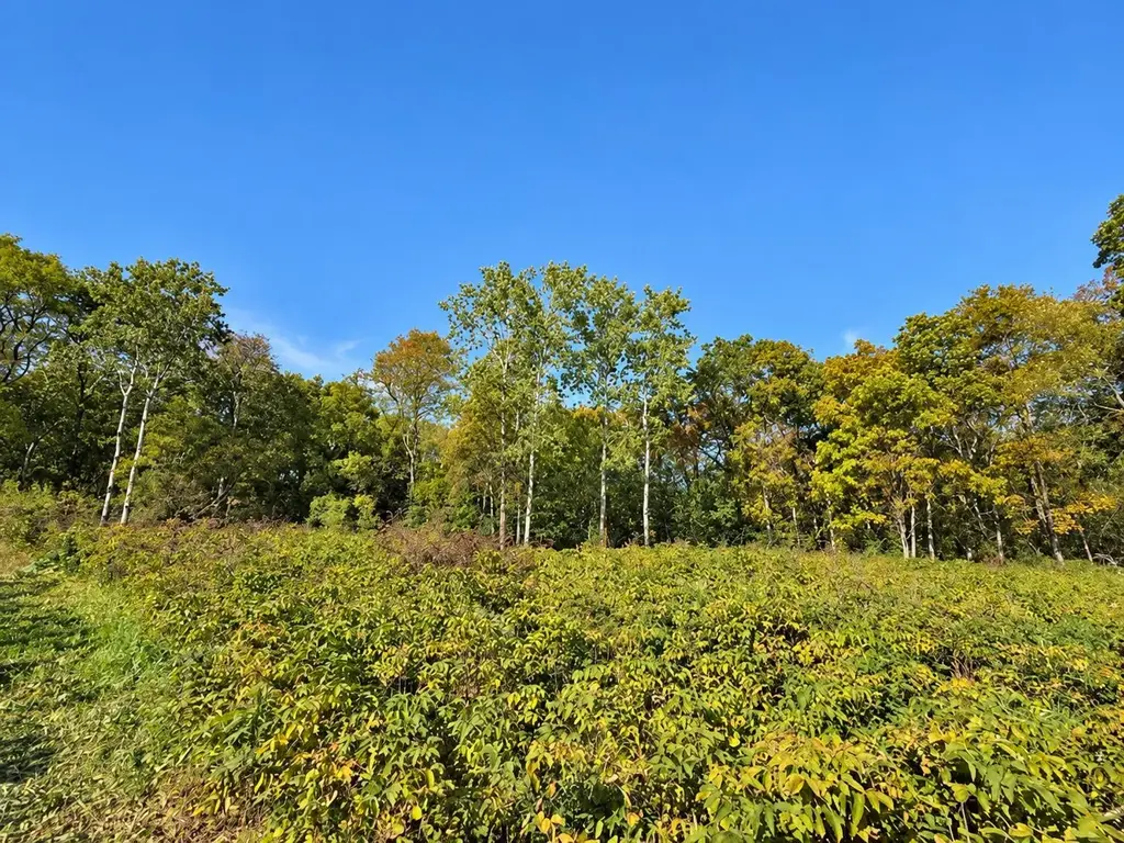 Lot 1 Csm 12361, Vermont