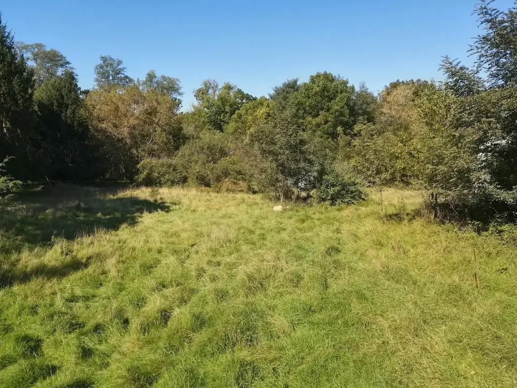 W6001 8th Lane, Packwaukee