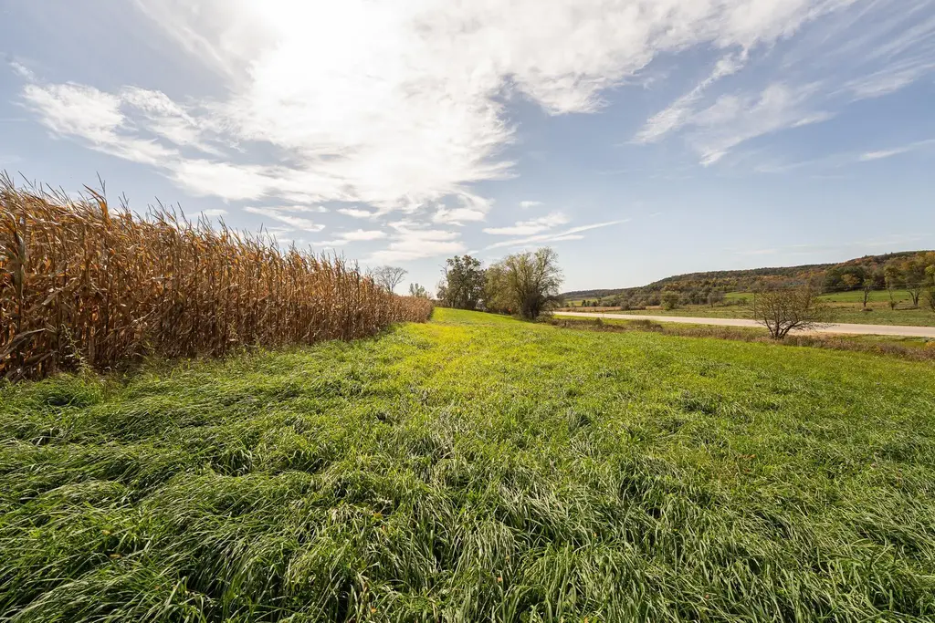 34.06 Acres Highway 131, Wilton