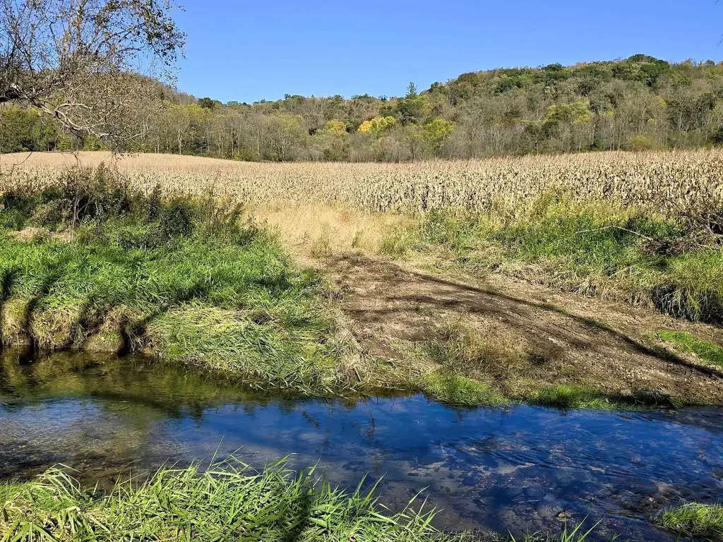 196+/- Acres Highway 171, Gays Mills