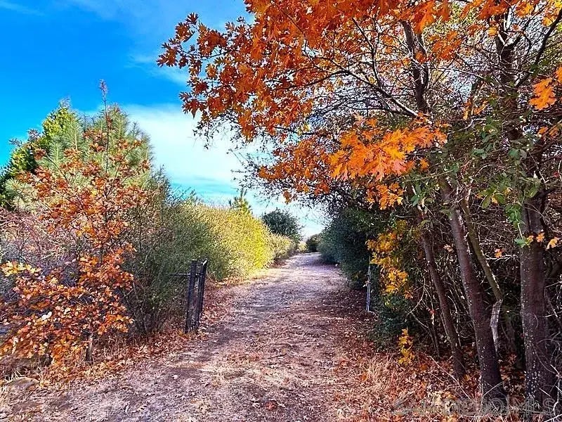 Birdsell Lane 33, Julian