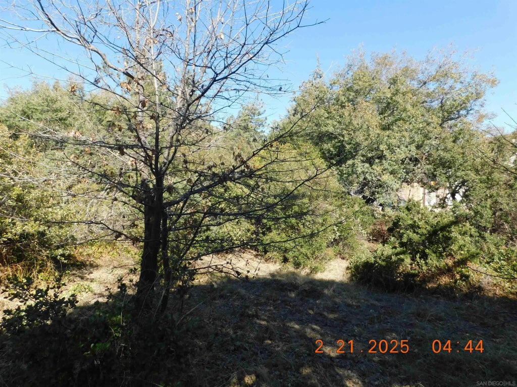 1700 Block Whispering Pines Dr., Julian