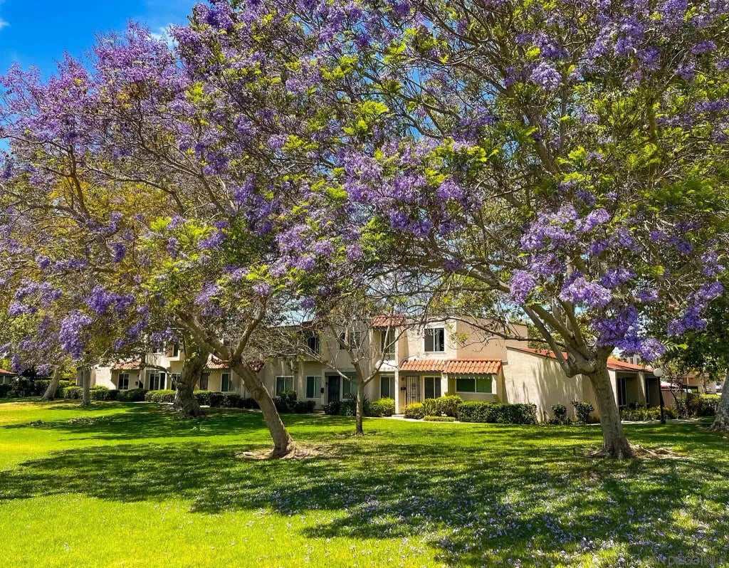 2445 Tunica Cir, LINDA VISTA