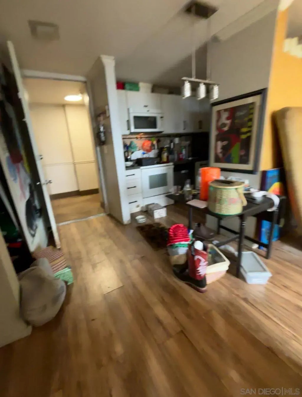 3050 Rue Dorleans 460, POINT LOMA