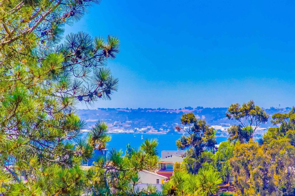 2854 Albatross Street, MISSION HILLS