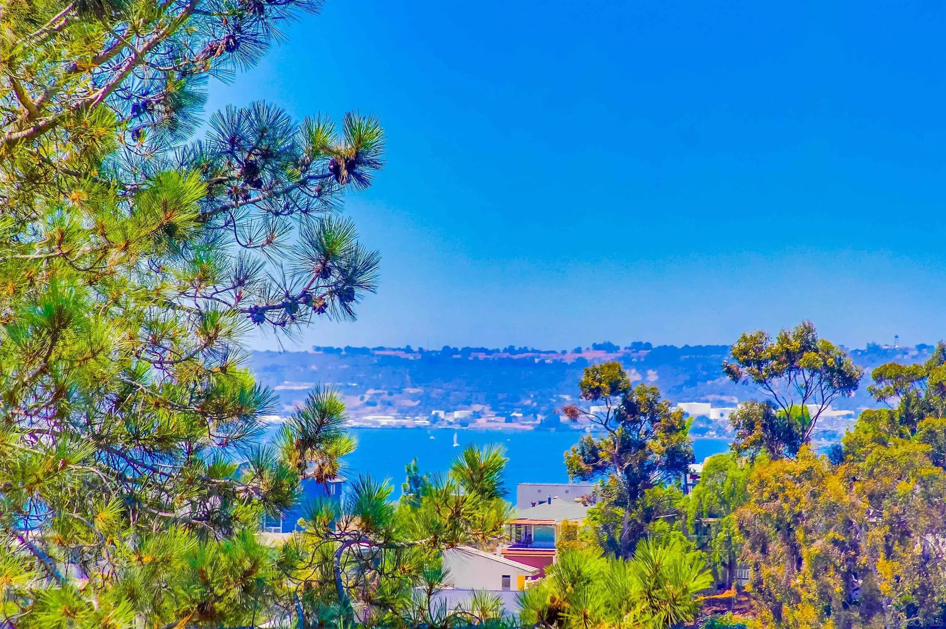 Photo of Listing #250044152