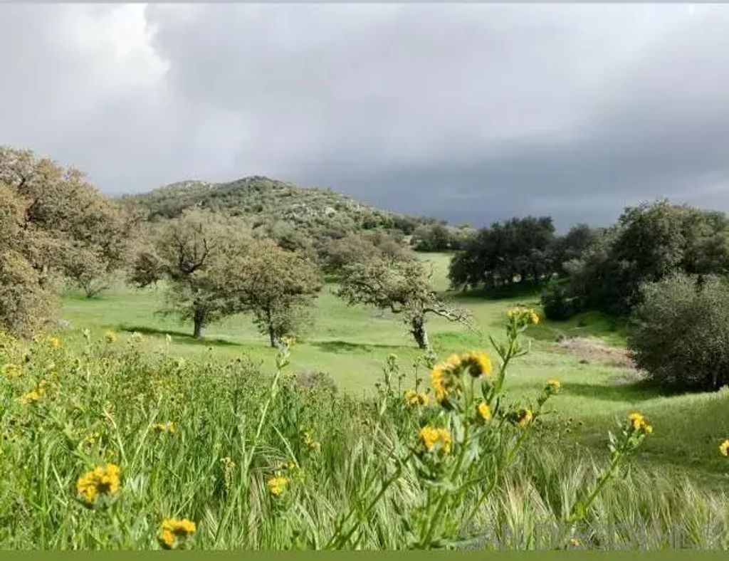 Tule Springs Road, Julian