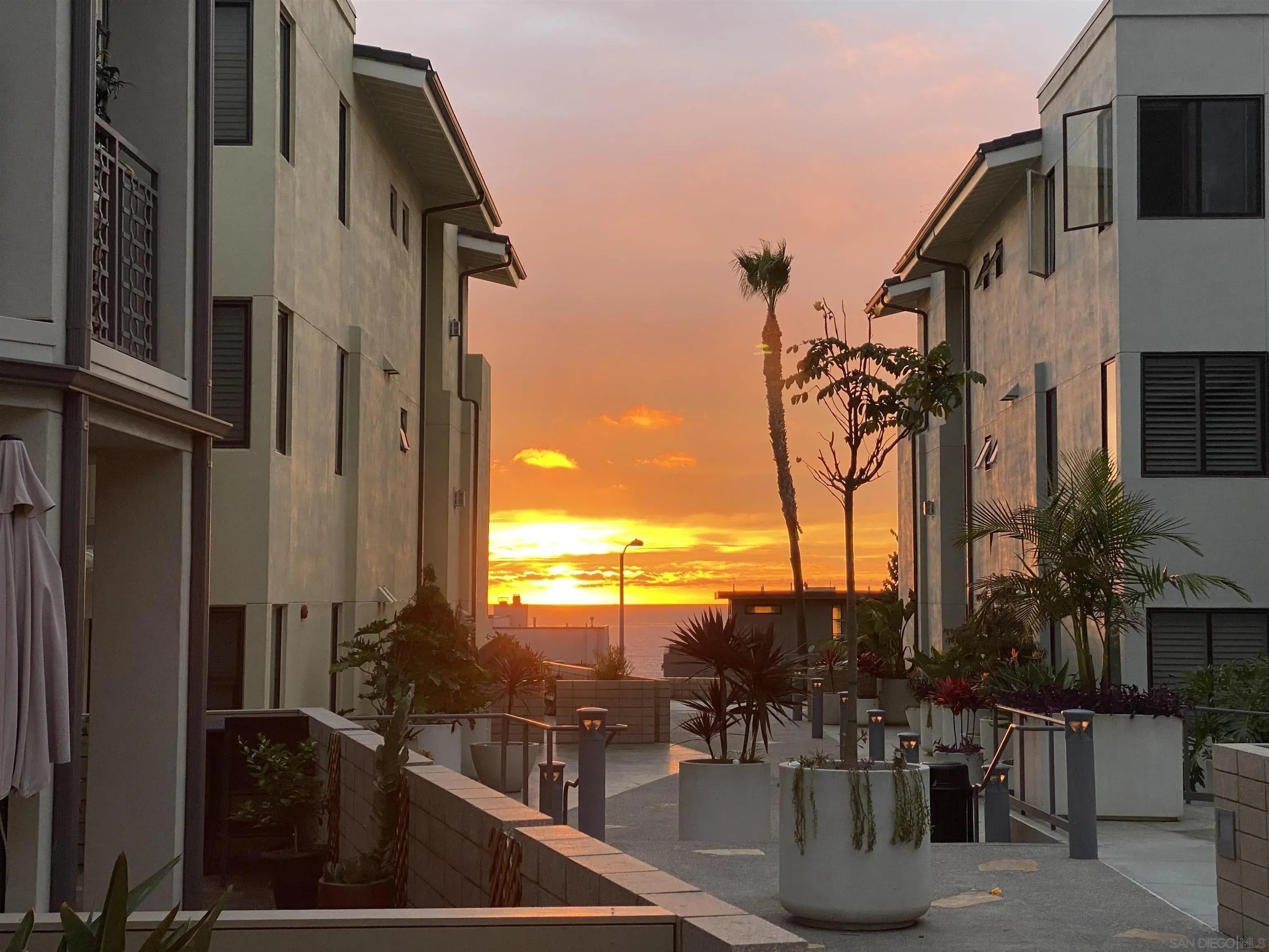 Photo of Listing #250046182