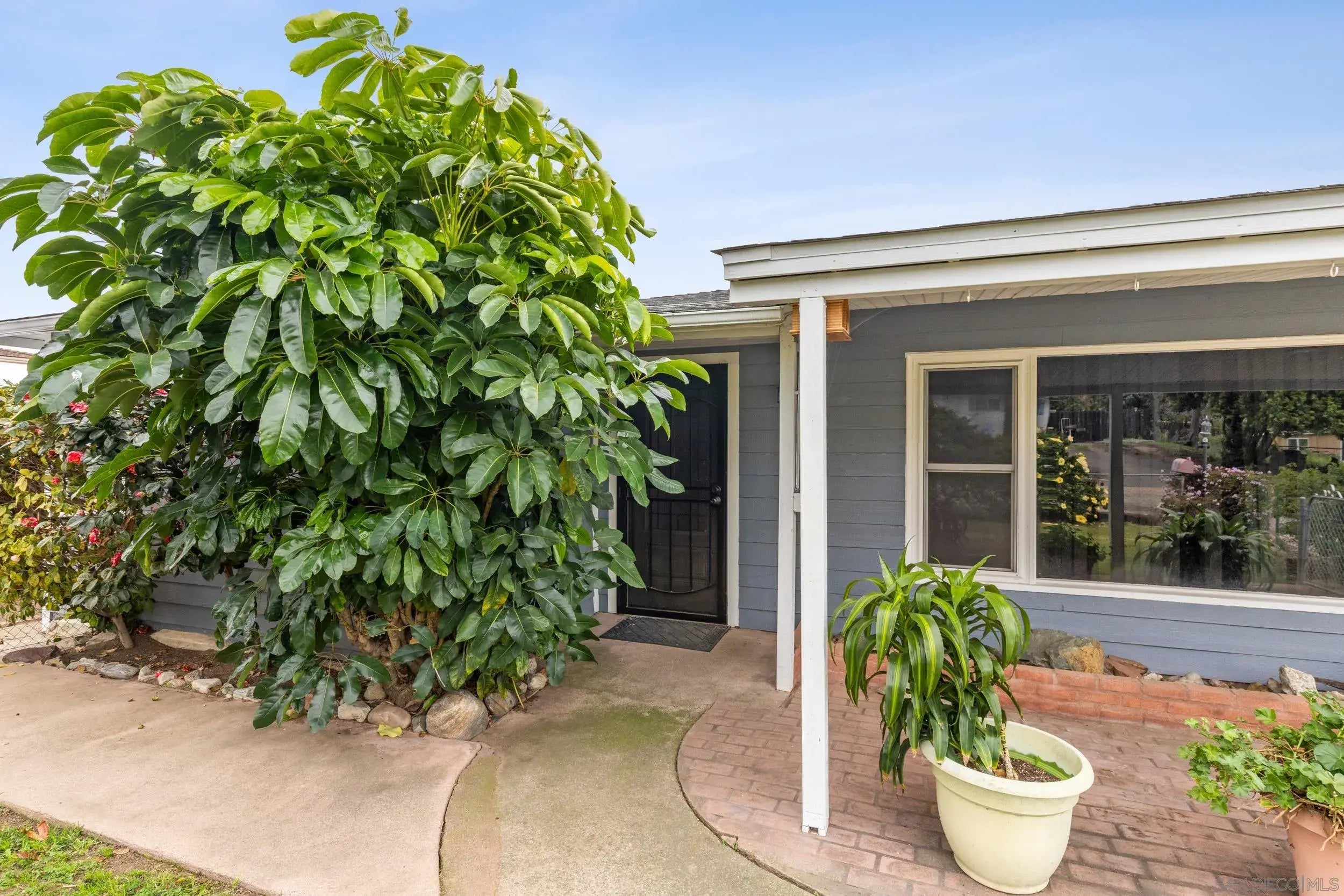 Photo of Listing #260003623