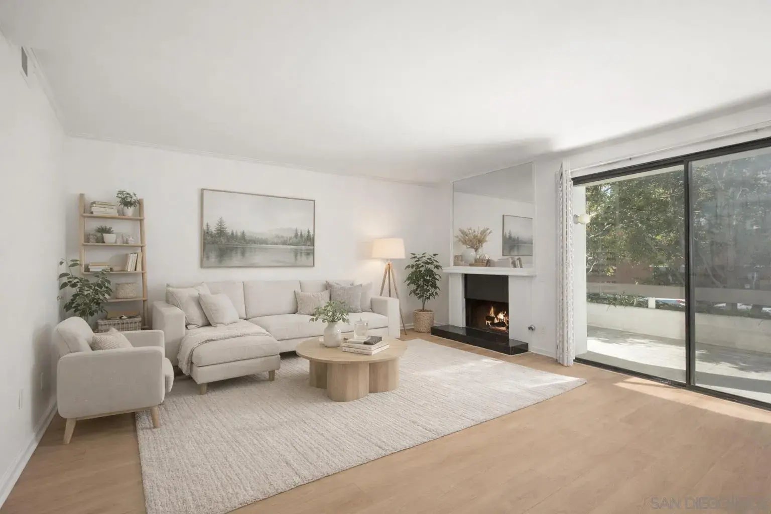 Photo of Listing #260004482