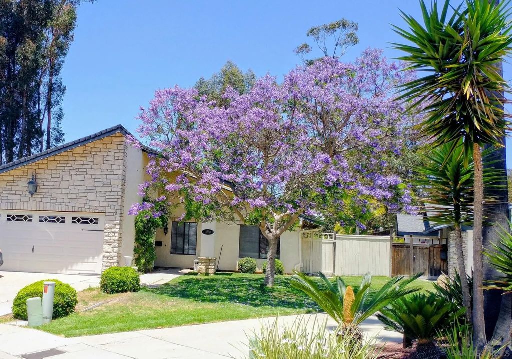 11330 Vista La Cuesta Dr, SCRIPPS RANCH