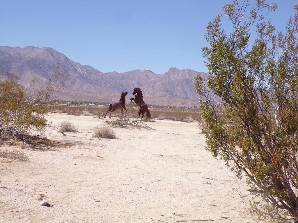 Borrego Valley Road 12, Borrego Springs