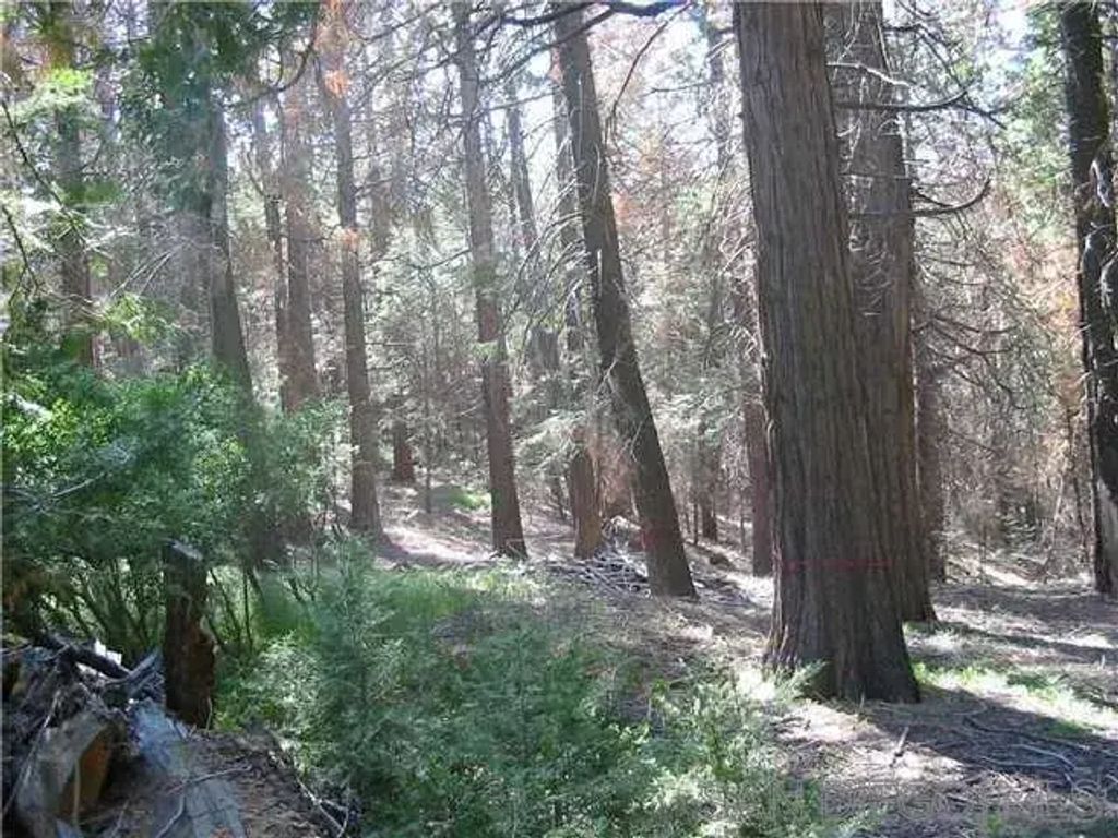 Crestline Road 25, Palomar Mountain