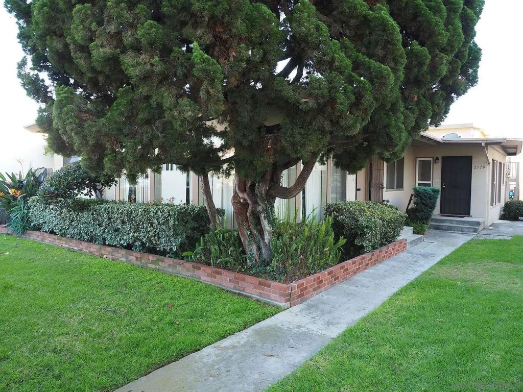 2127-2131 1/2 Felspar, PACIFIC BEACH