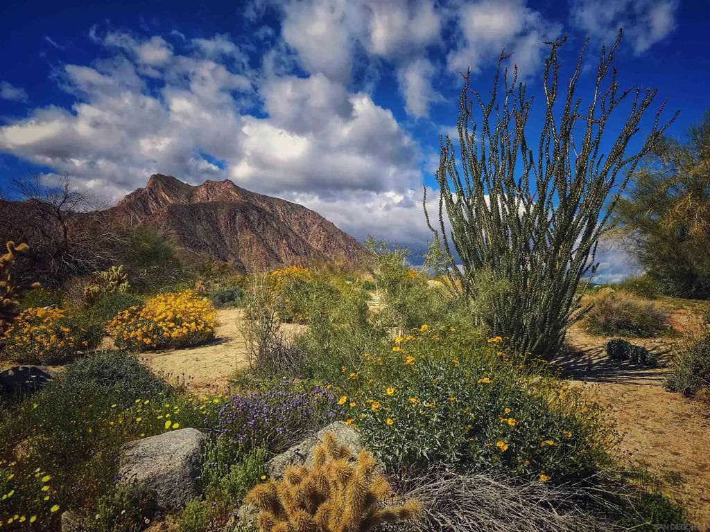 Palm Canyon Dr., Borrego Springs