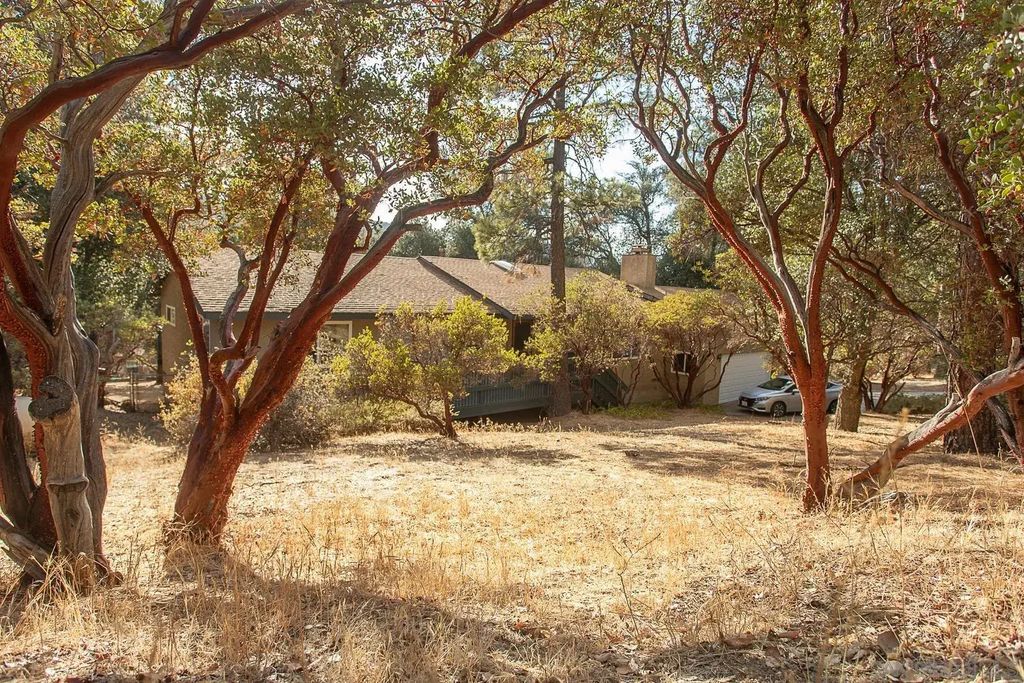8076 Pine Blvd, Pine Valley