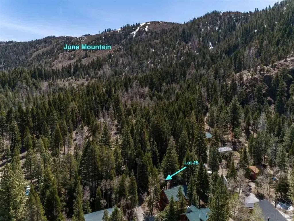 Piute Dr 5, June Lake